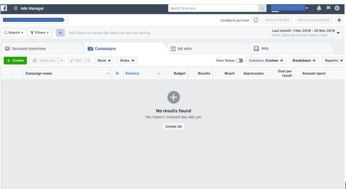 Ads-Manager-section