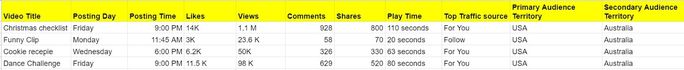TikTok analytics example TikTok analytics example