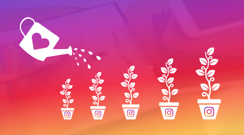 How to Grow Your Instagram Organic Presence