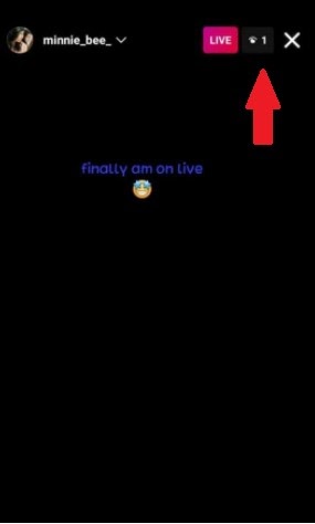 Does Instagram Live Show Who Is Watching?