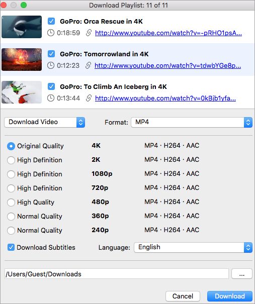 4K-Video-Downloader