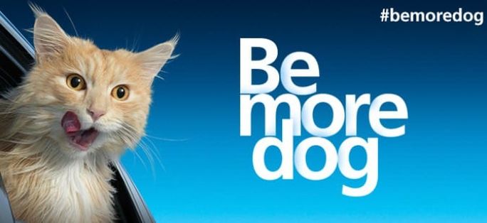 Be more dog by O2