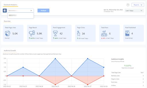SocialPilot facebook analytics SocialPilot facebook analytics