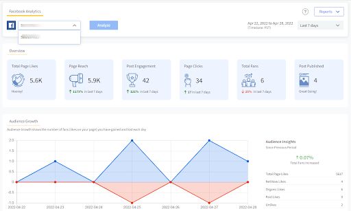 SocialPilot facebook analytics