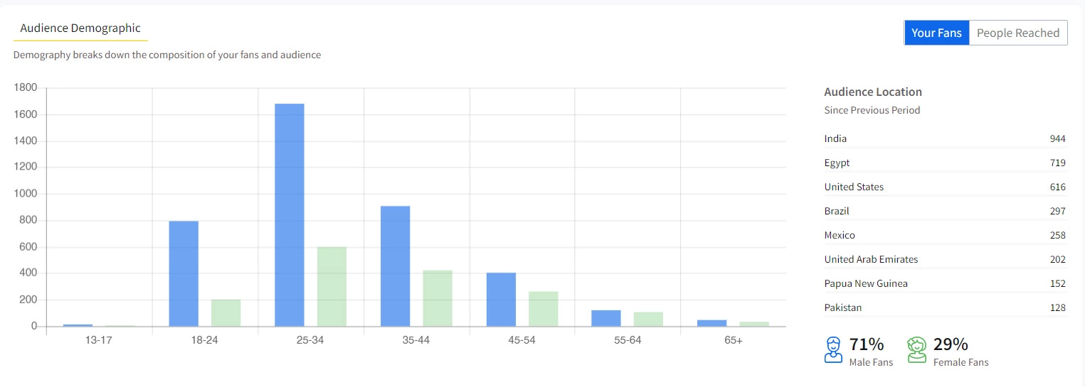 Audience Demographic Analytics Audience Demographic Analytics