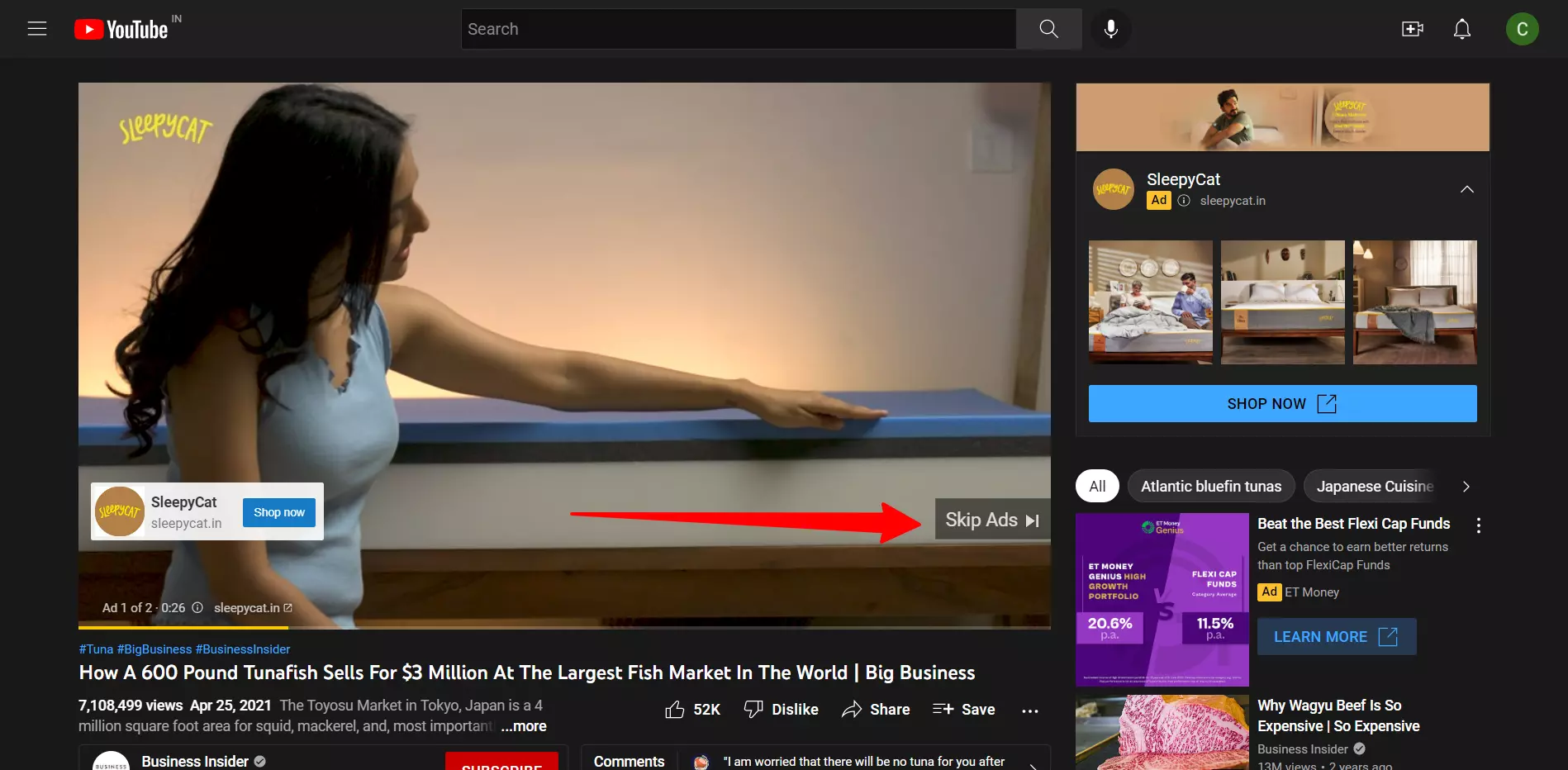 Skippable In-stream Ads