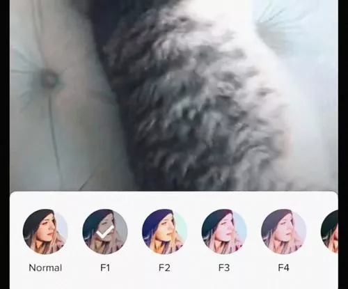figure out the filter