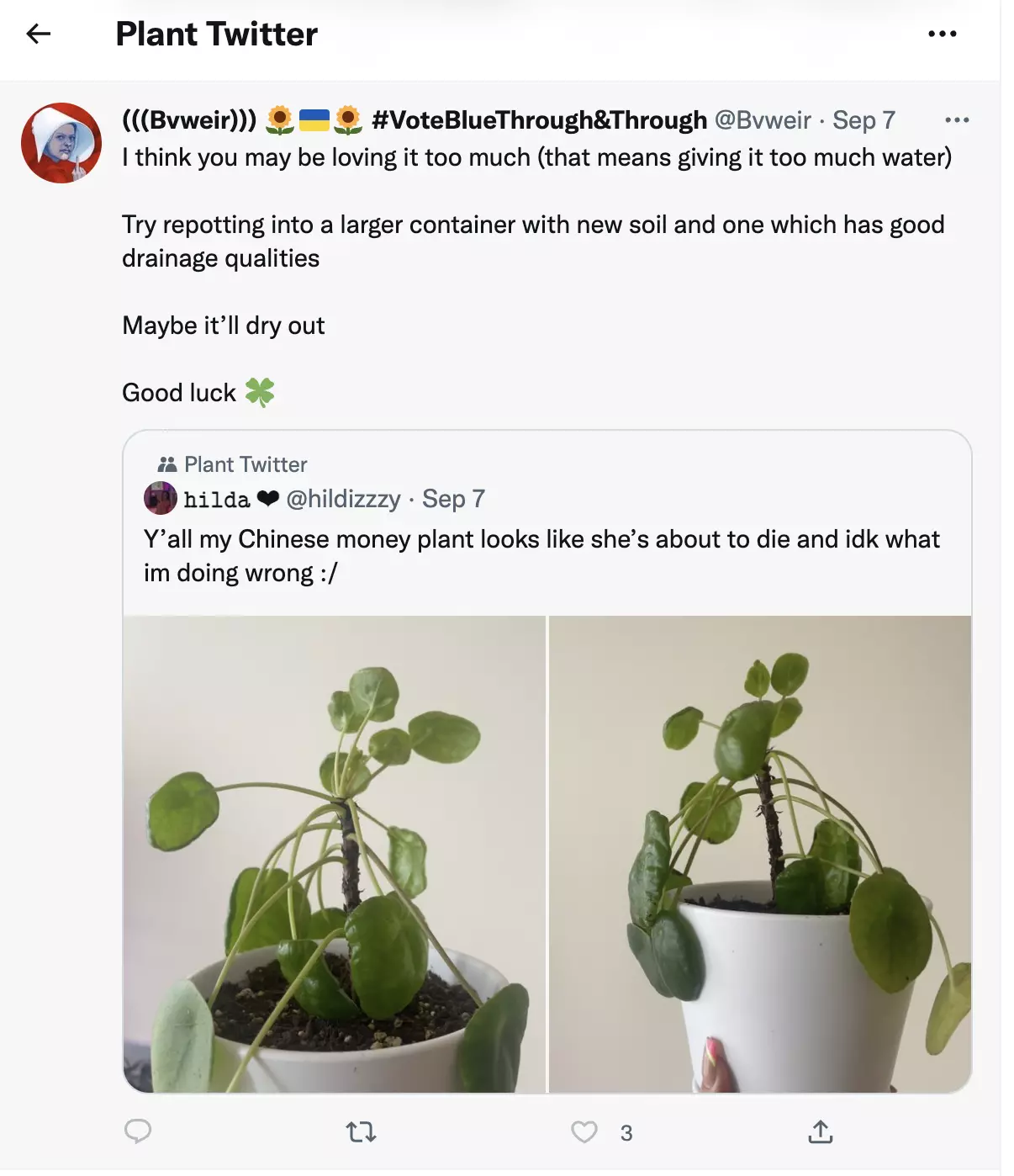 plant twitter