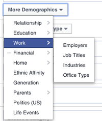 Target Audience Segmentation Target Audience Segmentation
