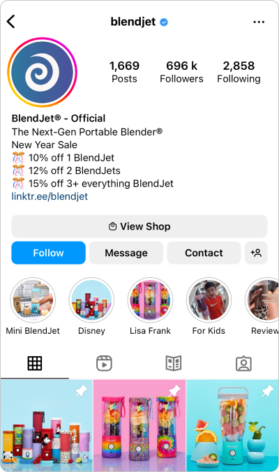 Instagram Bio Idées pour le commerce électronique