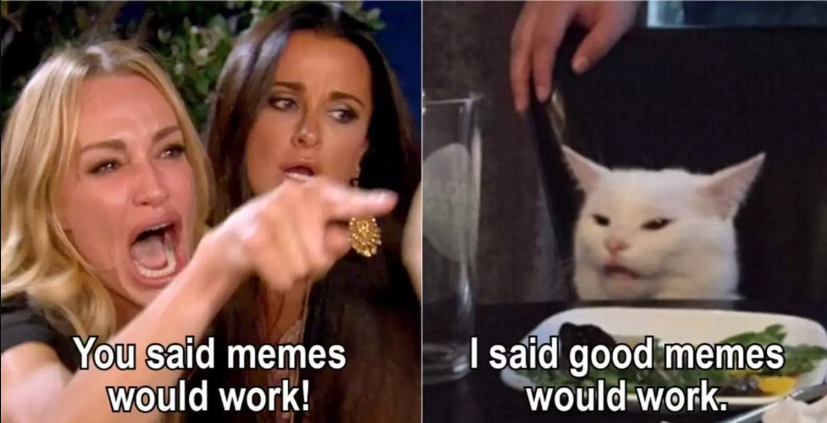 What is a meme – and how do I use them?