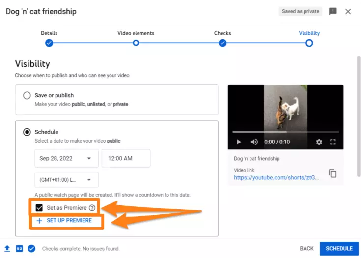 How to Schedule Videos: A Step-By-Step Guide