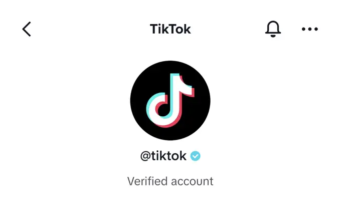 Verification On TikTok