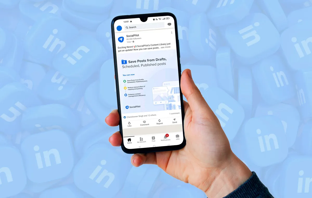 A Complete Guide To LinkedIn Post Sizes Phemany A Complete Guide To LinkedIn Post Sizes Phemany