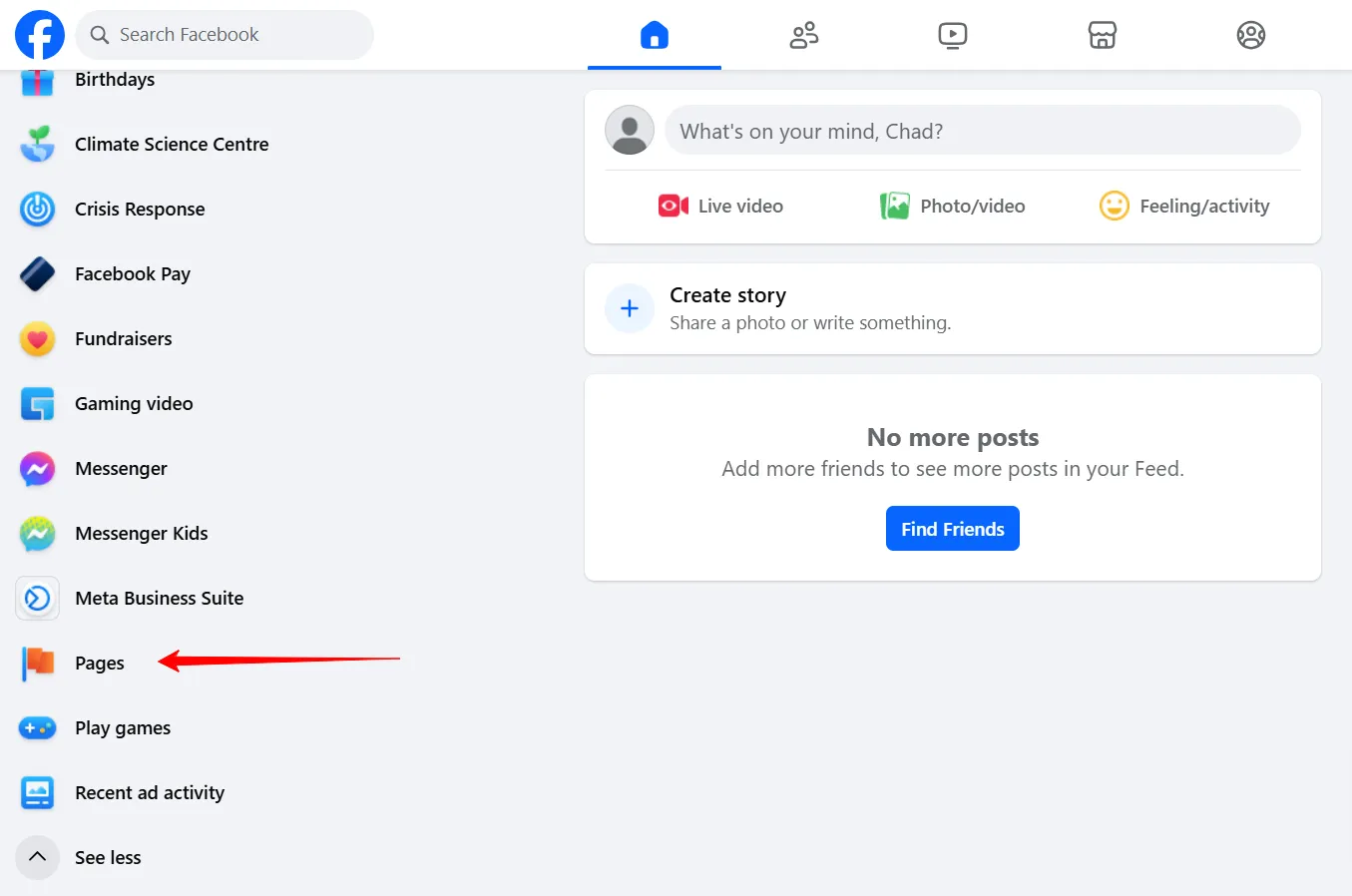 Pages Section