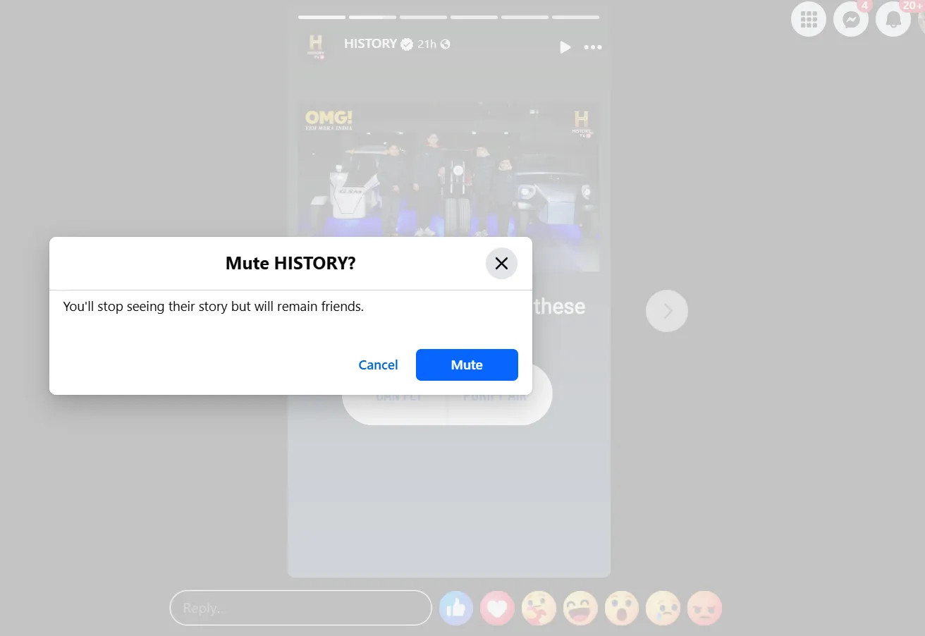 Confirmation pop-up to hide Facebook story 