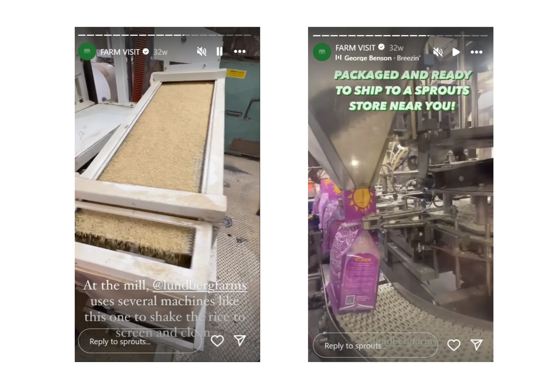 instagram story of sprouts showing behind the scene packaging