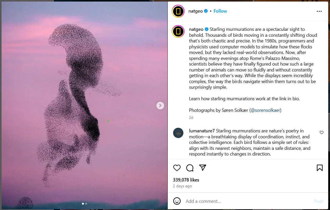 Image of NatGeo’s captivating caption under a photograph Image of NatGeo’s captivating caption under a photograph