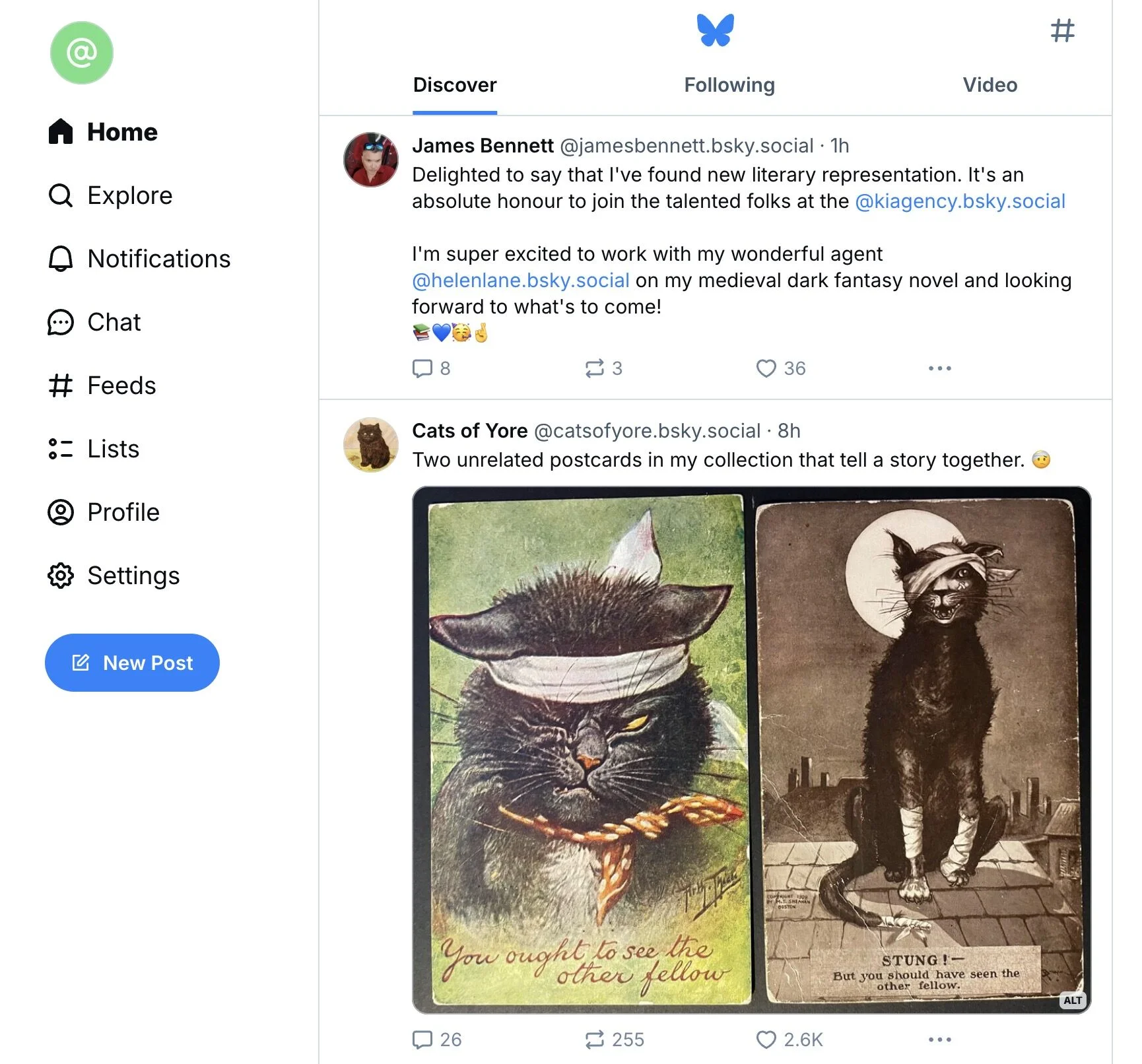 bluesky feed bluesky feed