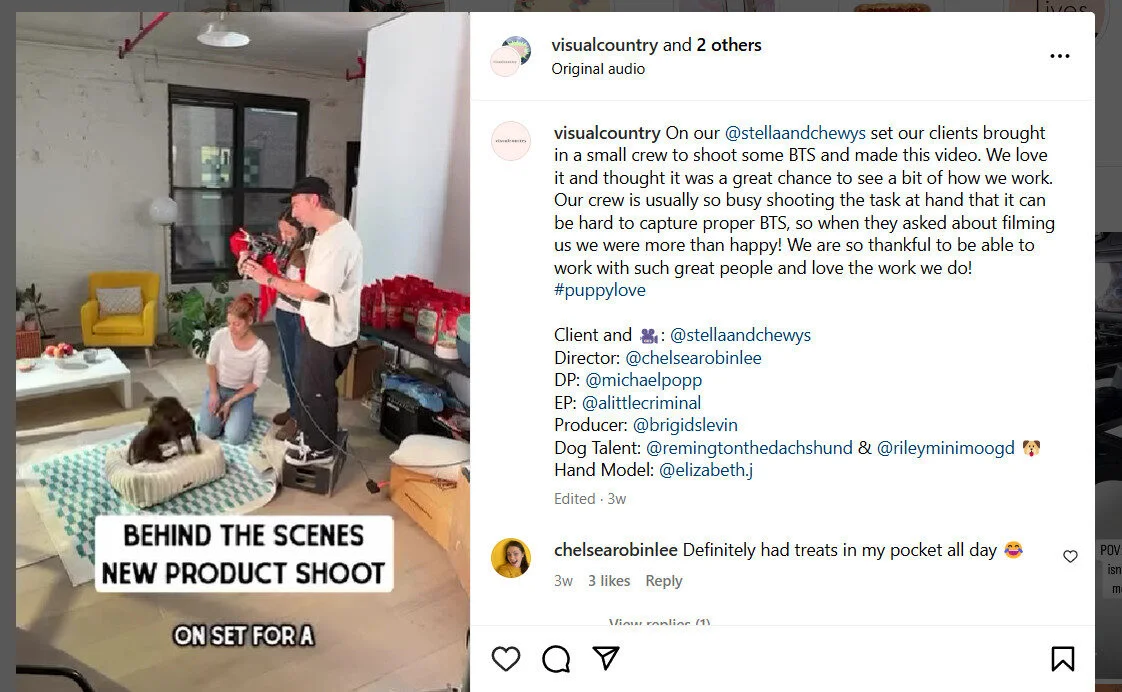 Image of an Instagram post from VisualCountry