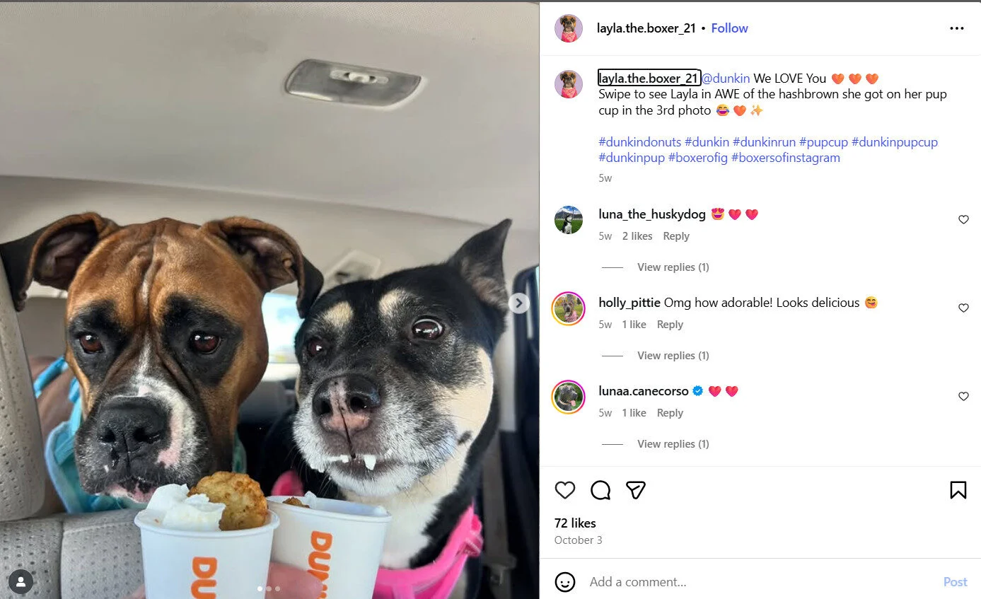 Inspire from your competitors content to connect with your audience Inspire from your competitors content to connect with your audience