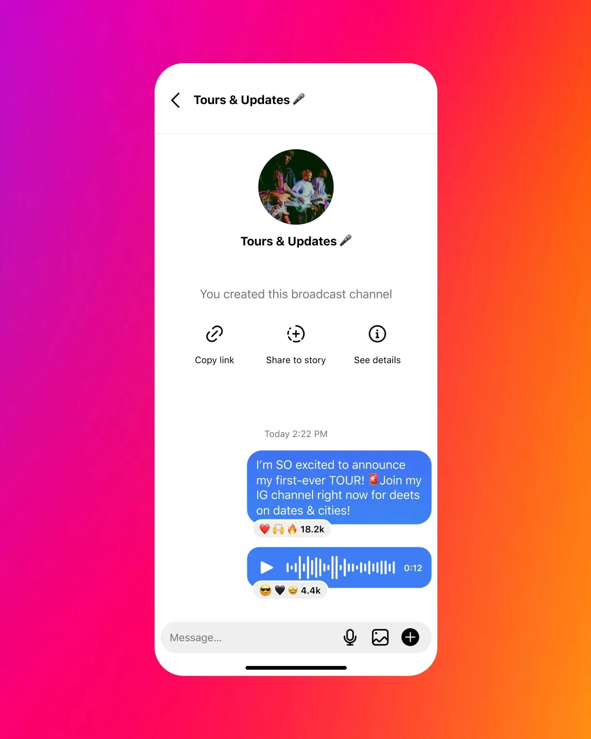 An Instagram broadcast channel with a first message and reactions An Instagram broadcast channel with a first message and reactions