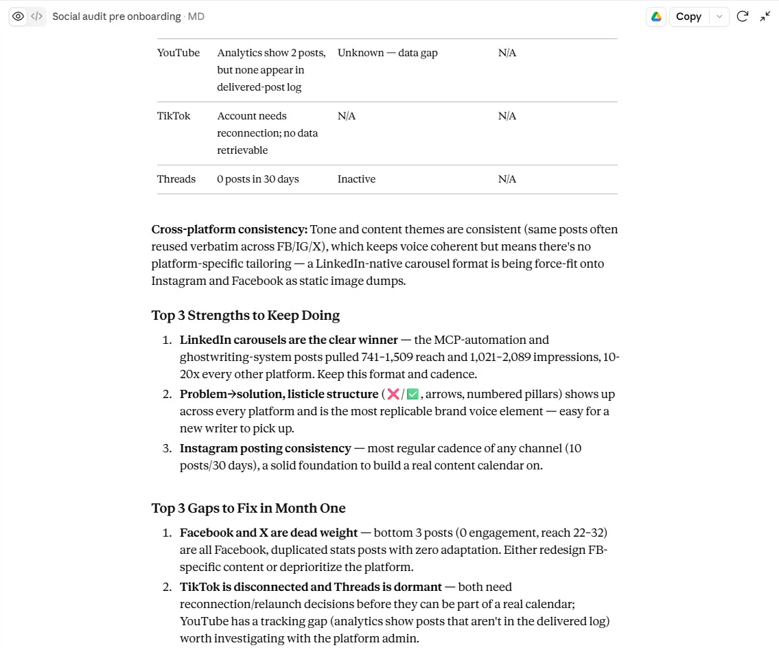 social media audit by Claude