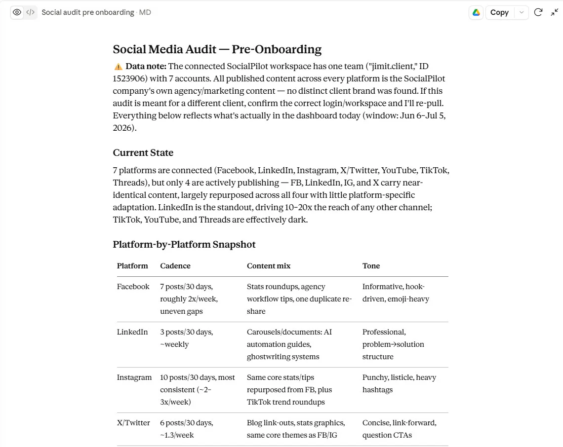 social media audit by Claude