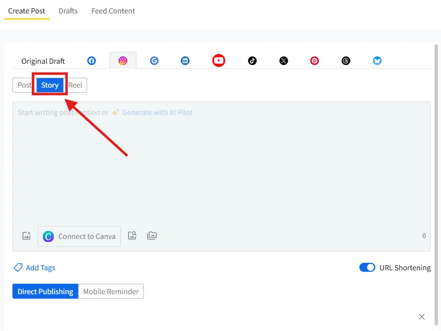 Instagram Options panel with Story selected Instagram Options panel with Story selected