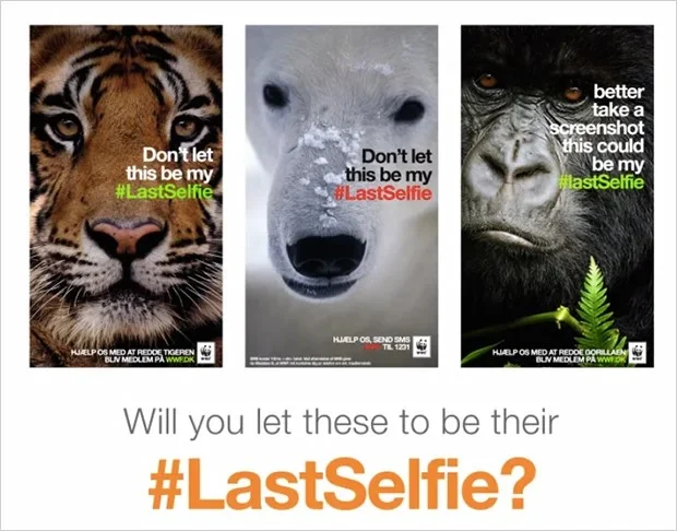 Some images posted on social media as part of the #LastSelfie campaign Some images posted on social media as part of the #LastSelfie campaign