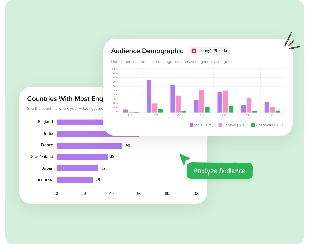 SocialPilot YouTube Audience Insights SocialPilot YouTube Audience Insights